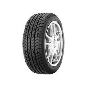 225/55R17 GAMMA B2 101W XL
